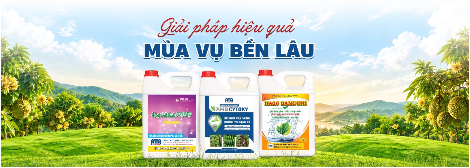 Giải Pháp Hiệu Quả - MÙA VỤ BỀN LÂU - AMB JAPAN