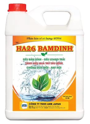 HA26 BAMDINH HF06