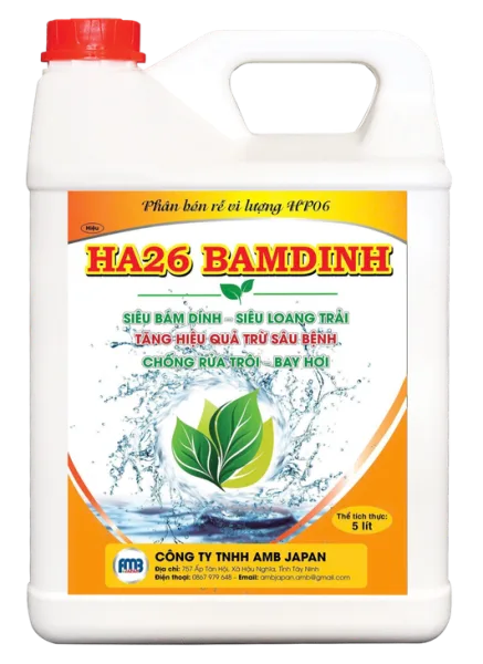 HA26 BAMDINH HF06